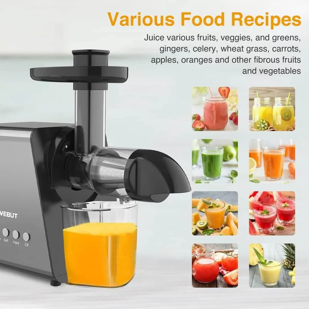 9 Segment 2 Speed Modes Juicer