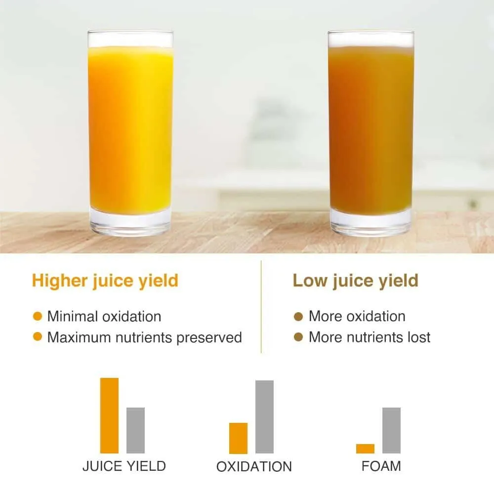 9 Segment 2 Speed Modes Juicer