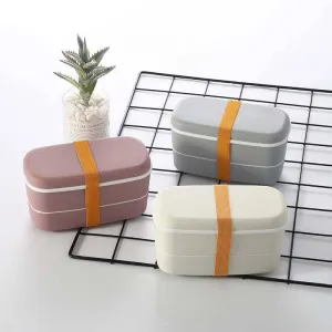 Microwave Compatible 2-Layer Lunchbox