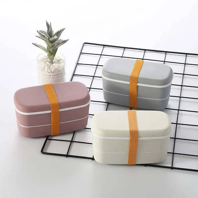 Microwave Compatible 2-Layer Lunchbox