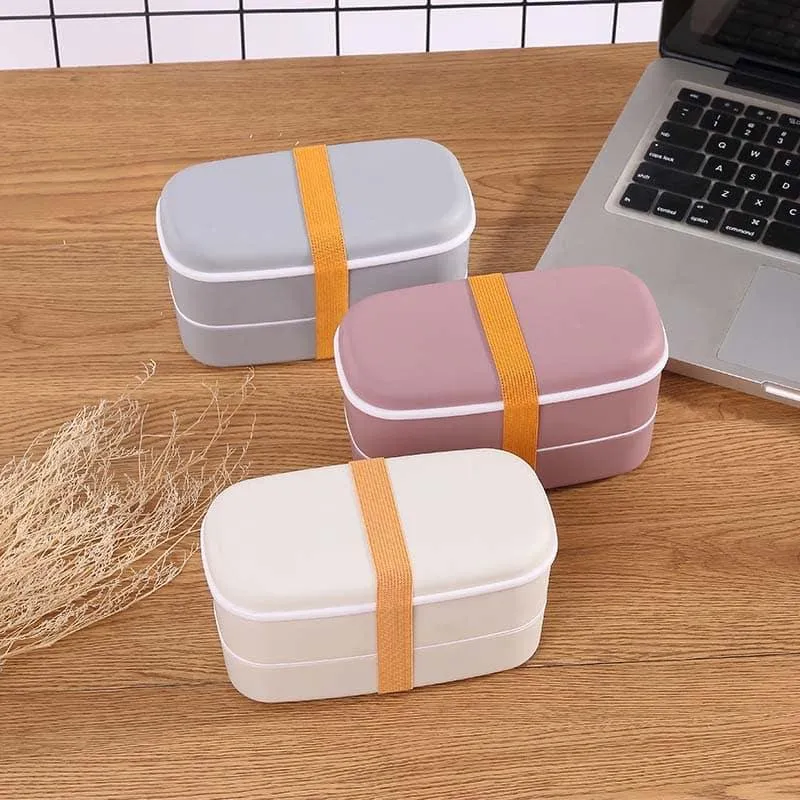 Microwave Compatible 2-Layer Lunchbox