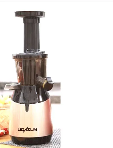 Nutrient-Rich Low Speed Juicer for Fruits and Vegetables
